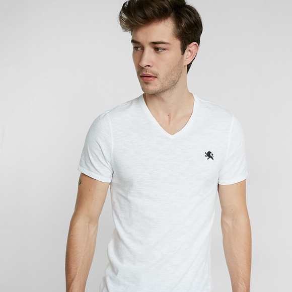 express v neck t shirt
